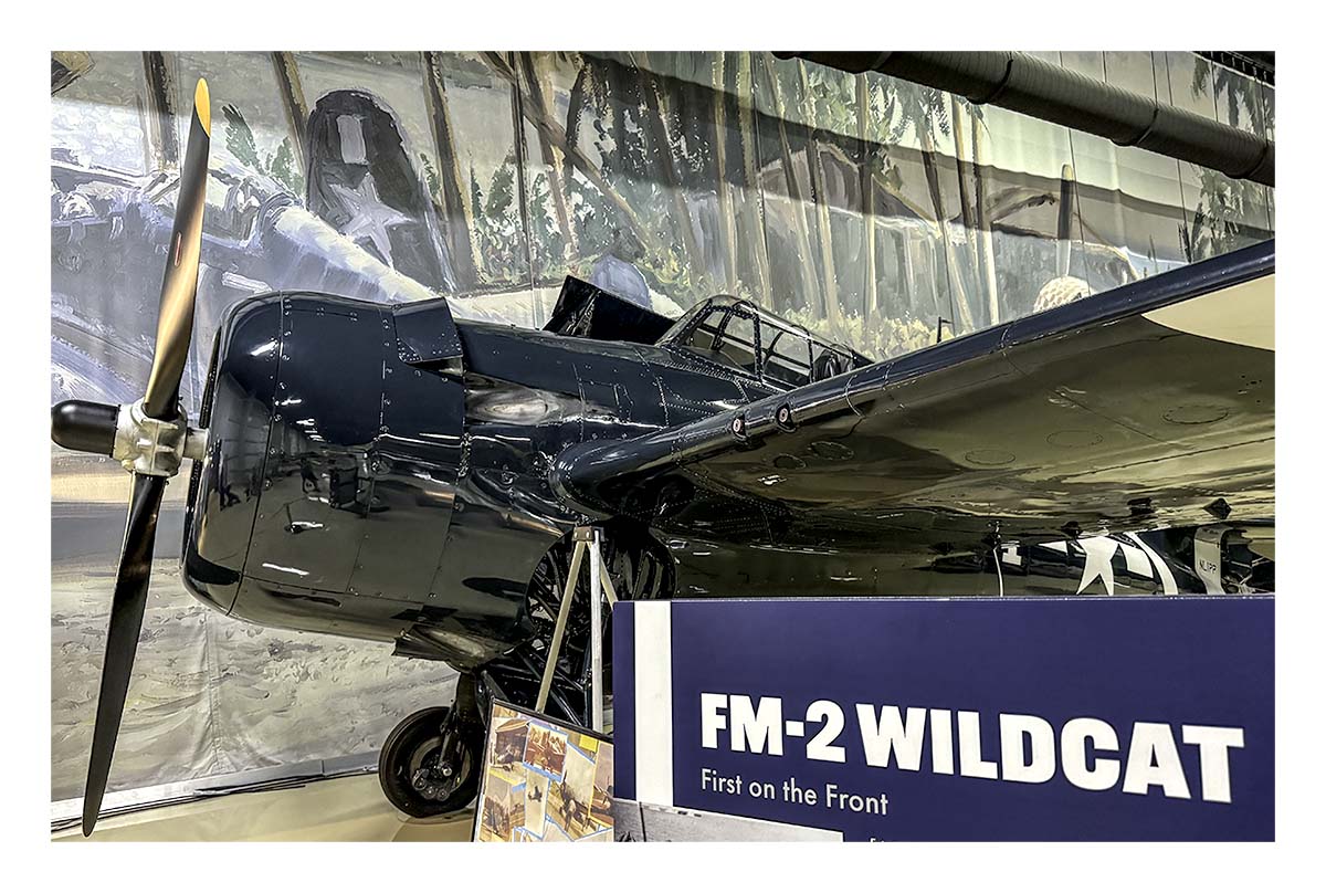 Air Zoo Mueum