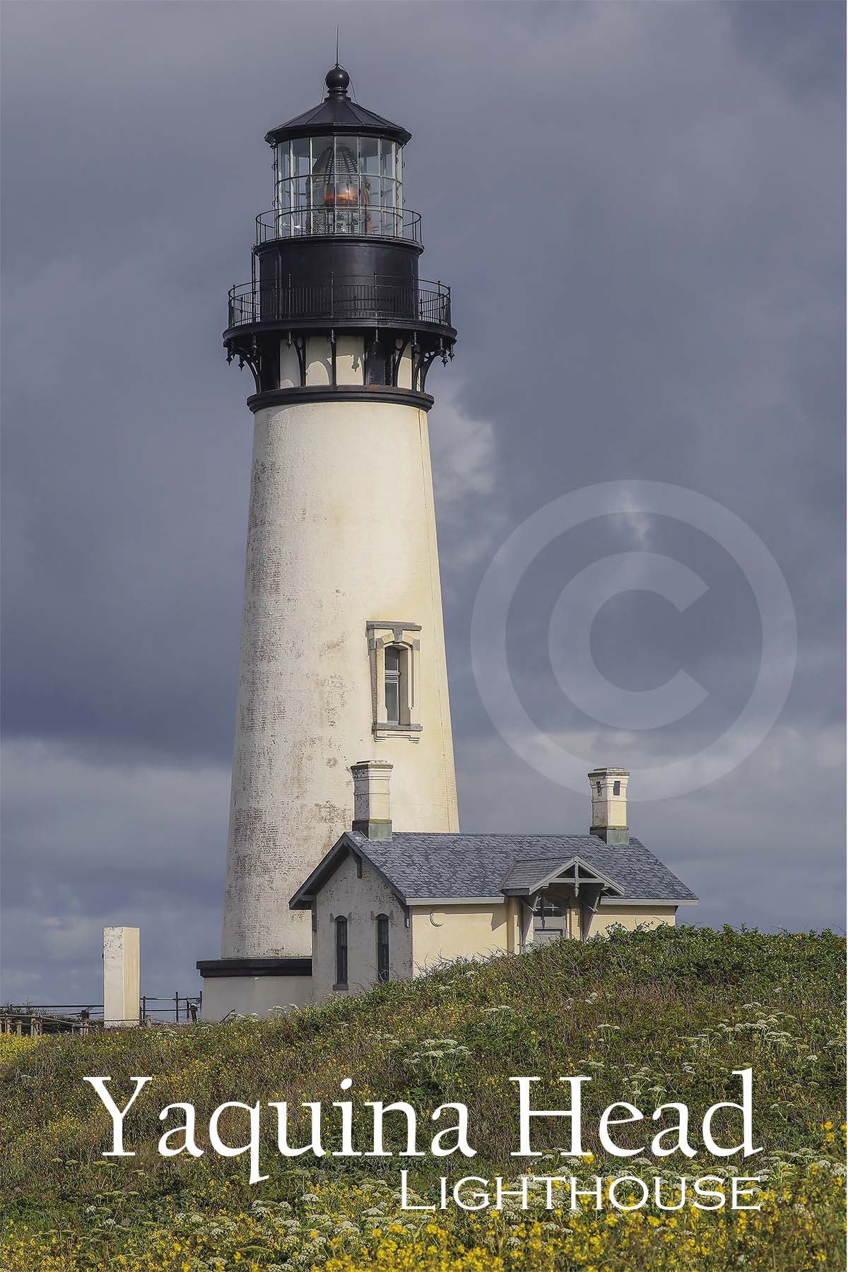 Yaquina Head