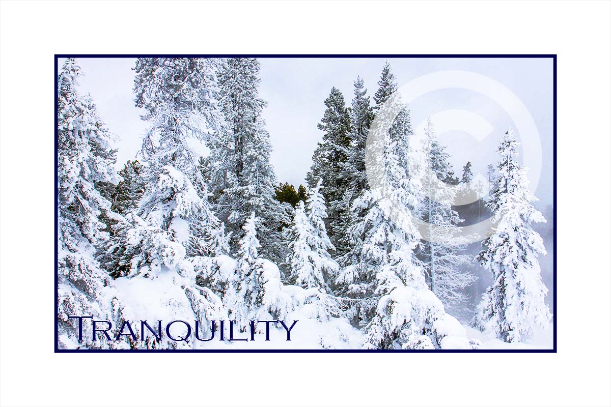 Tranquility