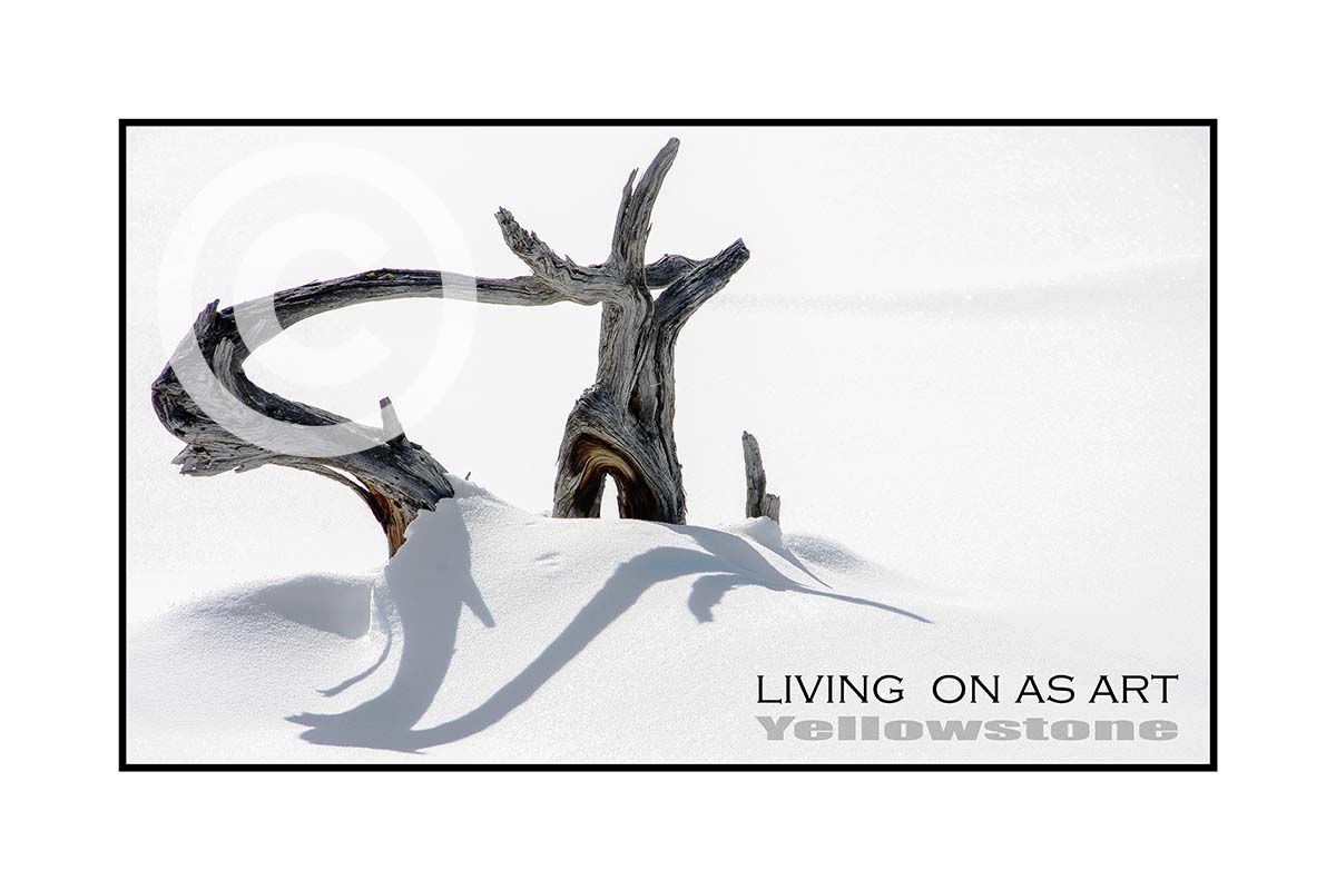 Living on as Art