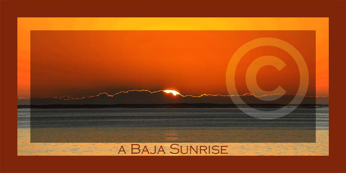 Baja