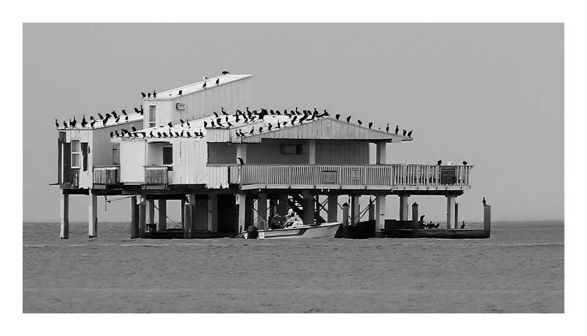 Stiltsville