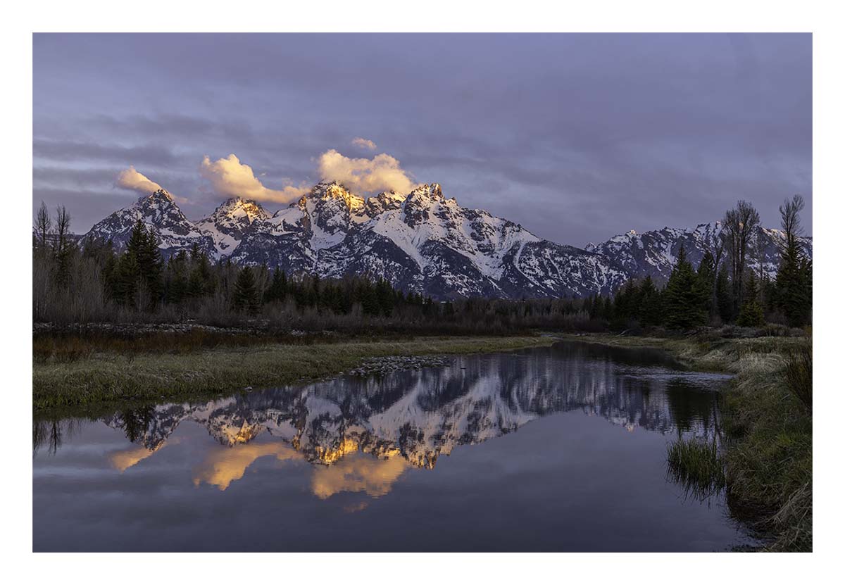 BCJ Spring in Yellowstone - Grand Teton