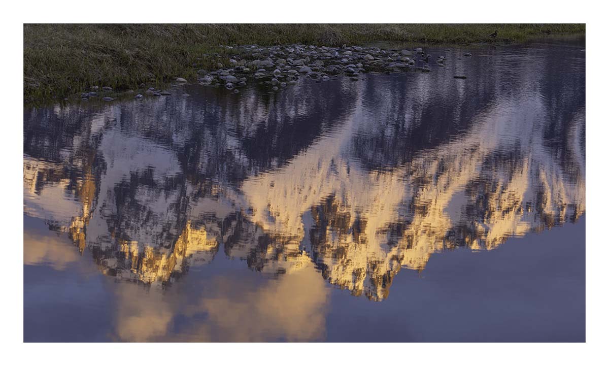 BCJ Spring in Yellowstone - Grand Teton