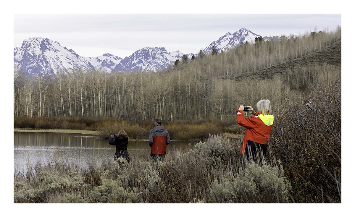 BCJ Spring in Yellowstone - Grand Teton