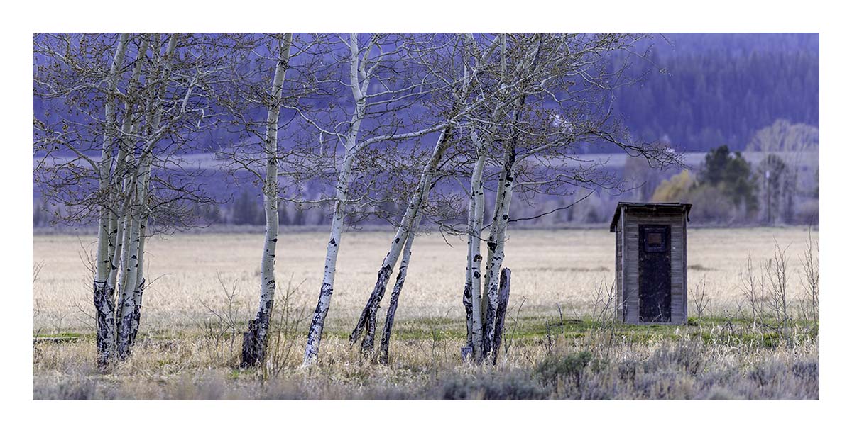BCJ Spring in Yellowstone - Grand Teton