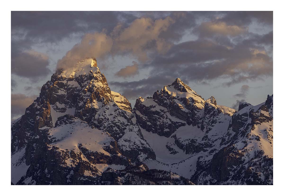 BCJ Spring in Yellowstone - Grand Teton