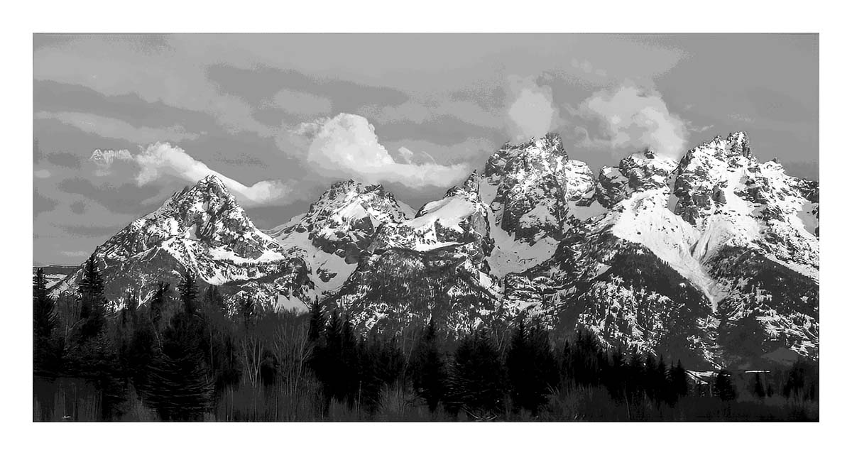 BCJ Spring in Yellowstone - Grand Teton