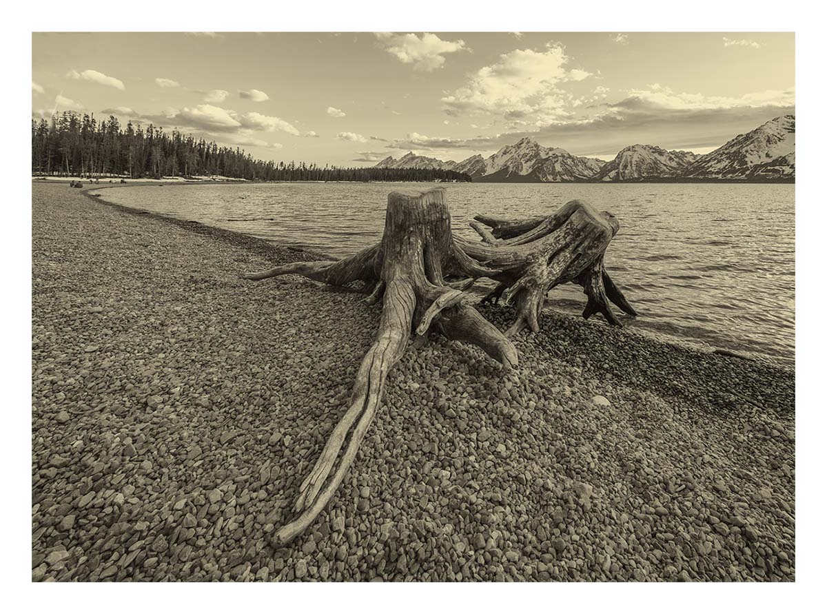 BCJ Spring in Yellowstone - Grand Teton