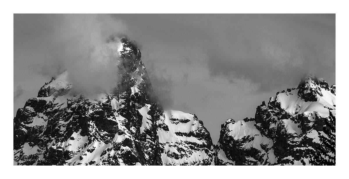 BCJ Spring in Yellowstone - Grand Teton