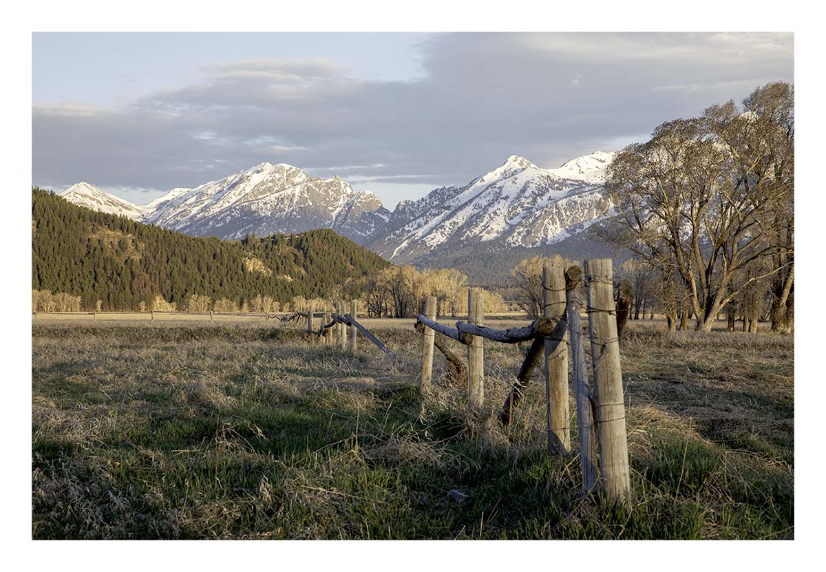 BCJ Spring in Yellowstone - Grand Teton