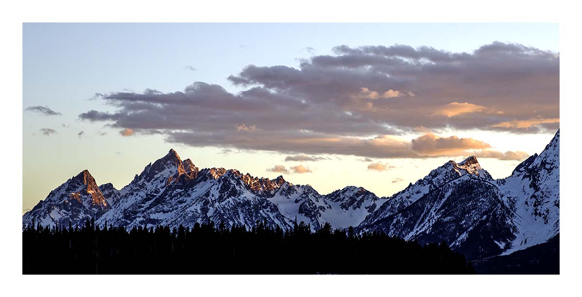 BCJ Spring in Yellowstone - Grand Teton
