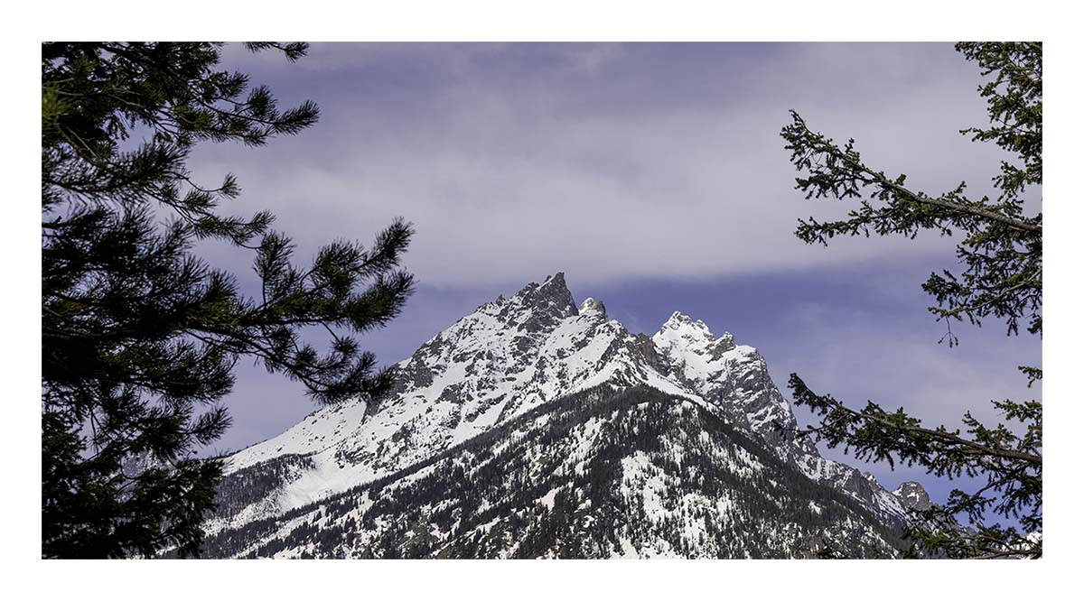 BCJ Spring in Yellowstone - Grand Teton
