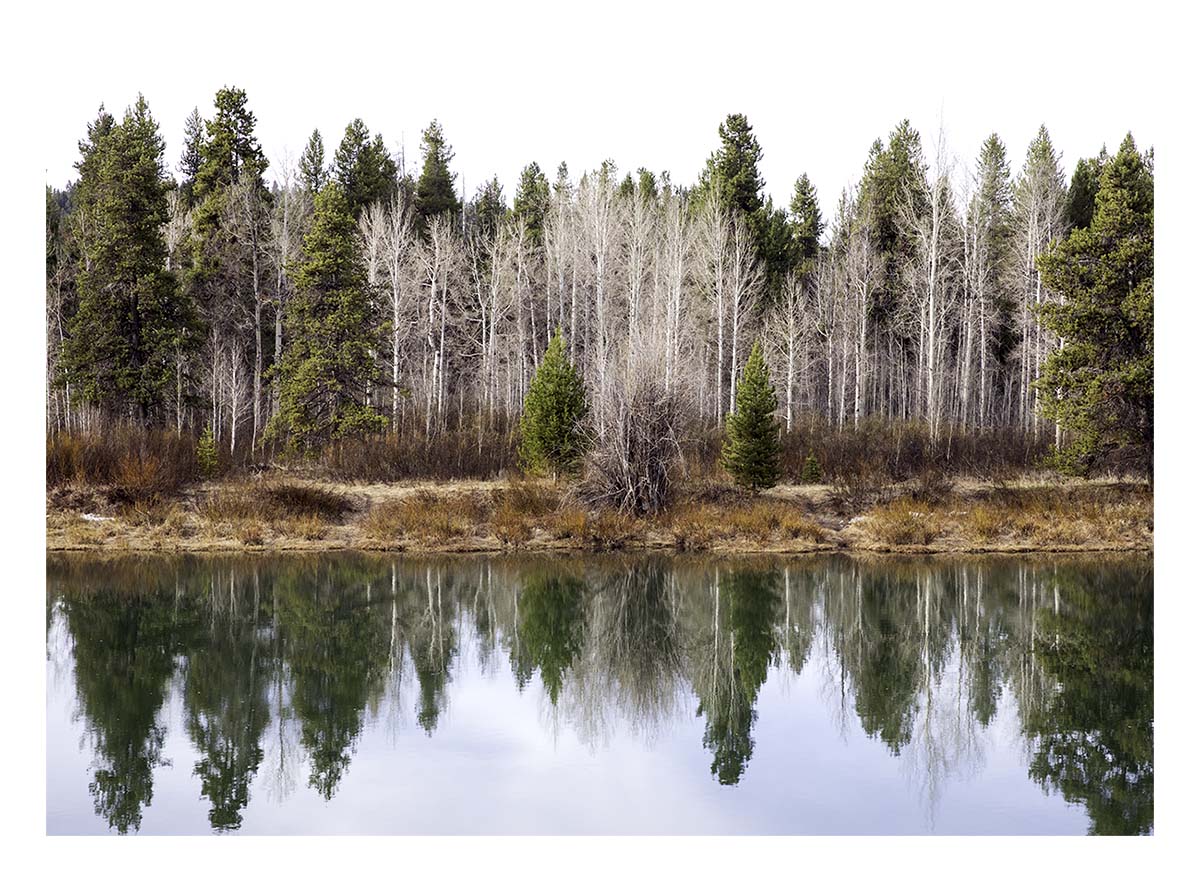 BCJ Spring in Yellowstone - Grand Teton