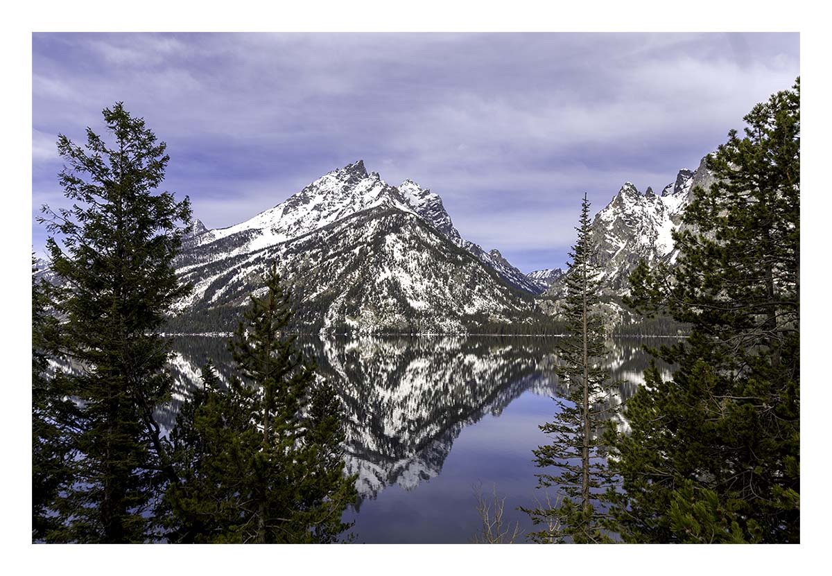 BCJ Spring in Yellowstone - Grand Teton