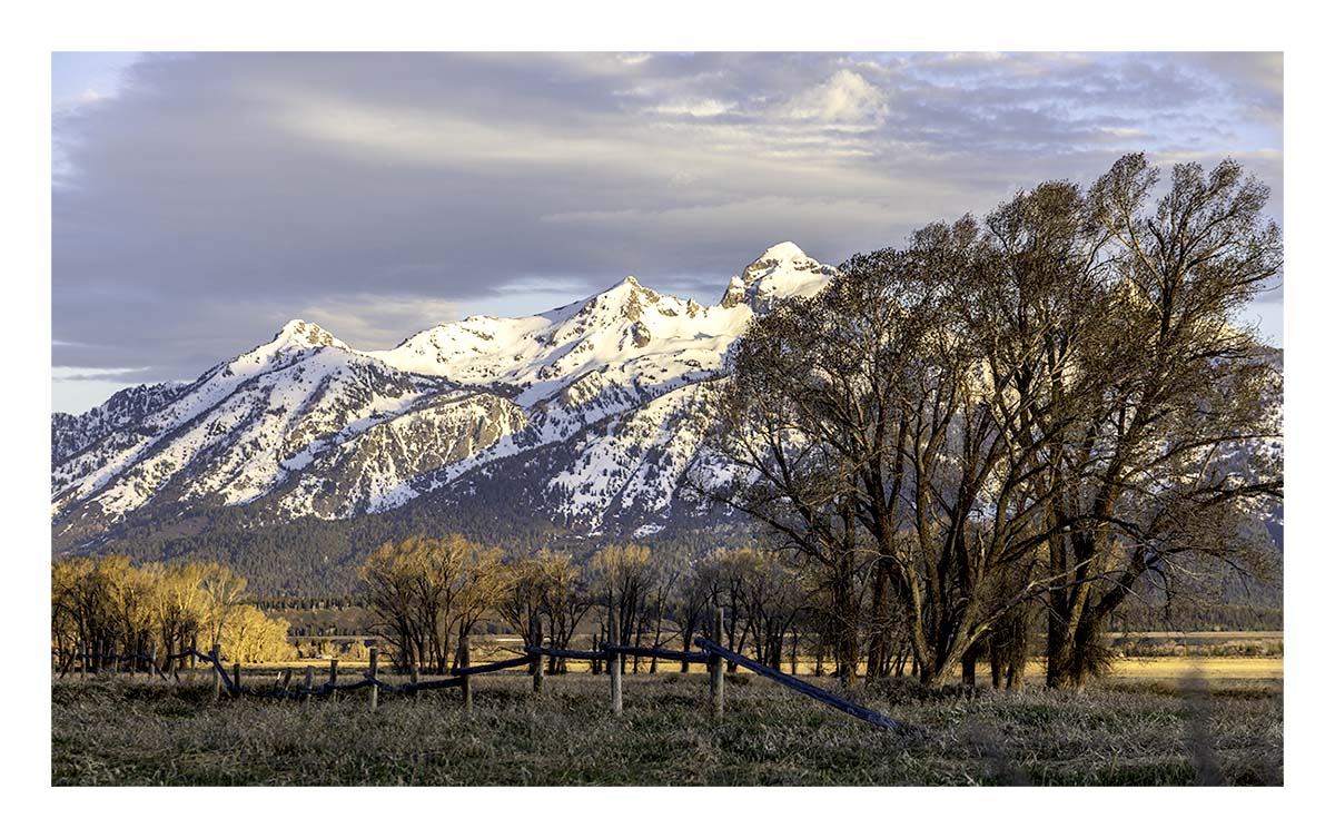 BCJ Spring in Yellowstone - Grand Teton