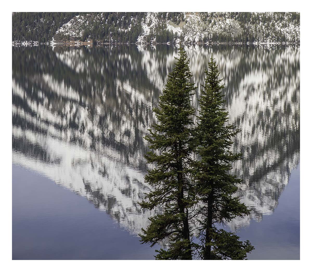 BCJ Spring in Yellowstone - Grand Teton