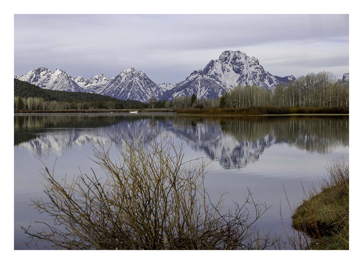 BCJ Spring in Yellowstone - Grand Teton