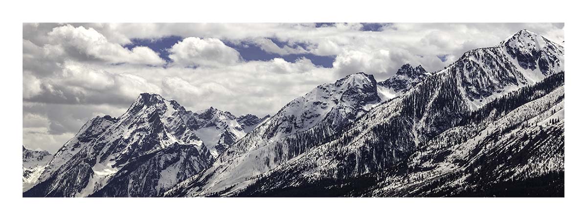 BCJ Spring in Yellowstone - Grand Teton