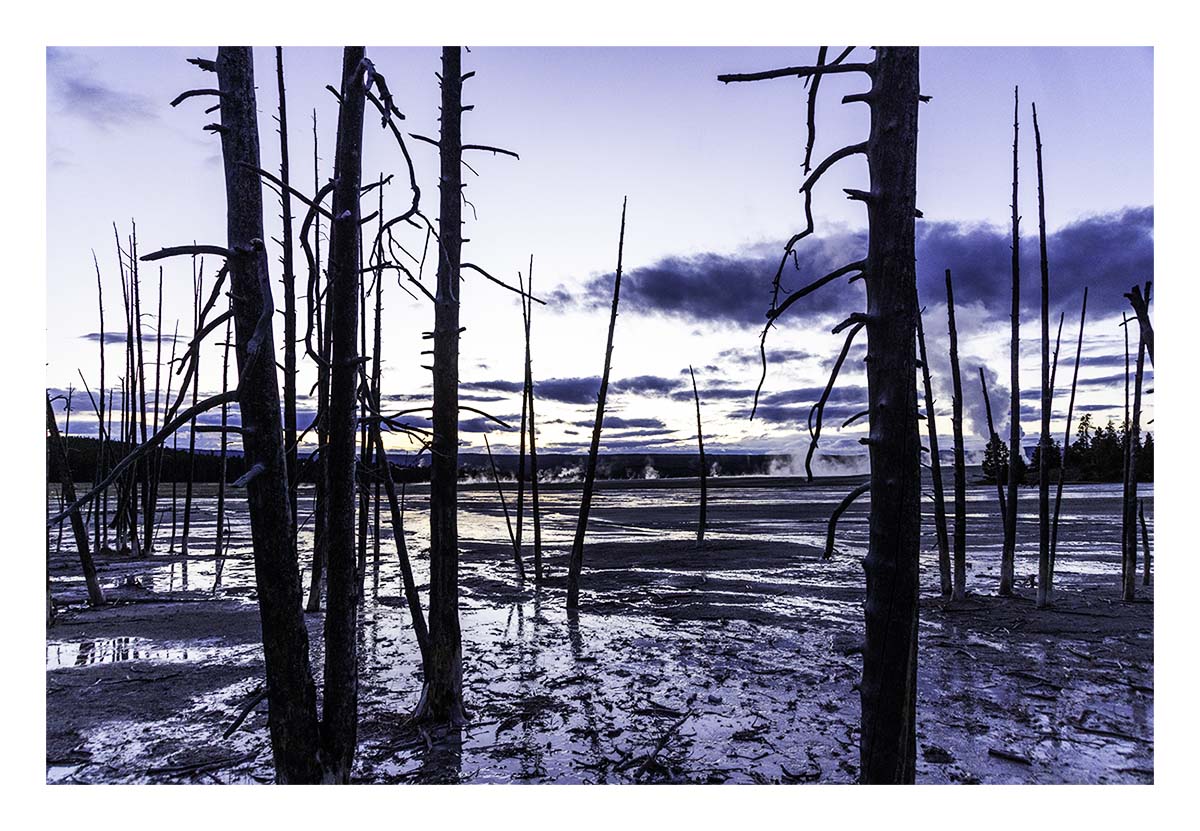BCJ Spring in Yellowstone - Grand Teton