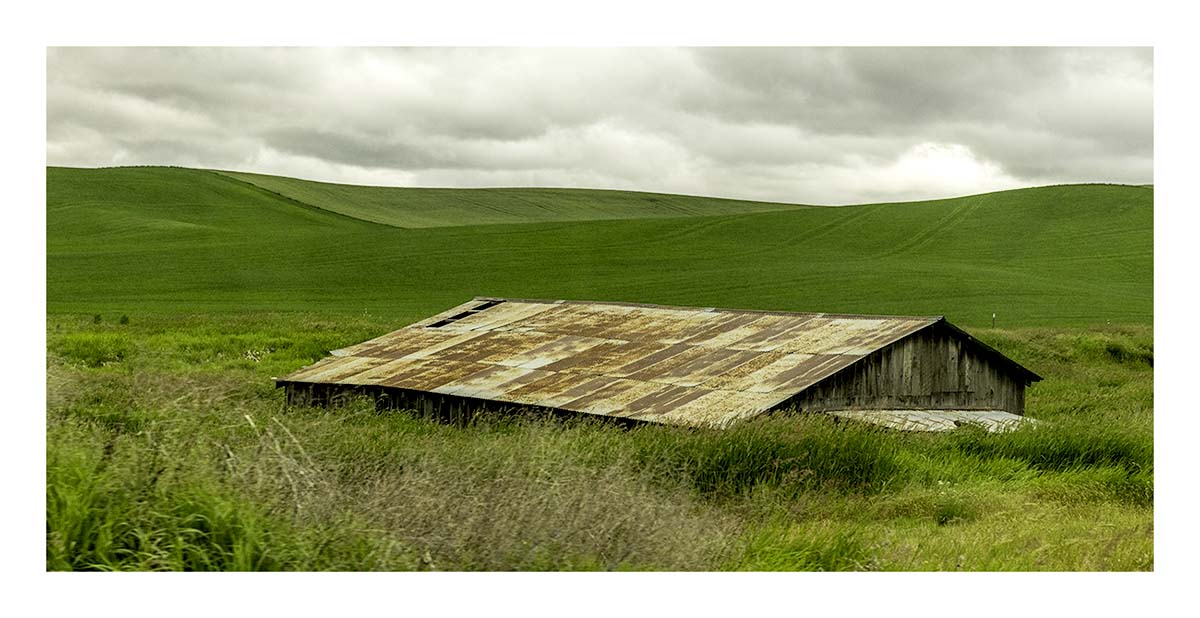 BCJ Spring in the Palouse