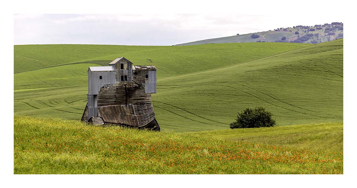 BCJ Spring in the Palouse