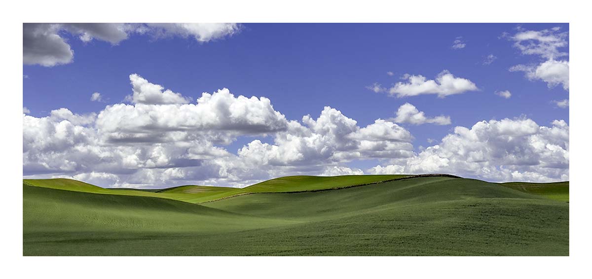 BCJ Spring in the Palouse