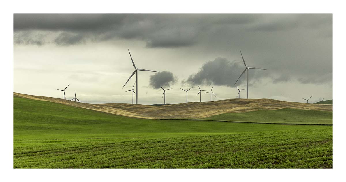 BCJ Spring in the Palouse