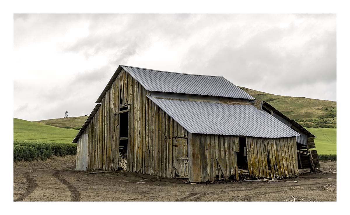 BCJ Spring in the Palouse