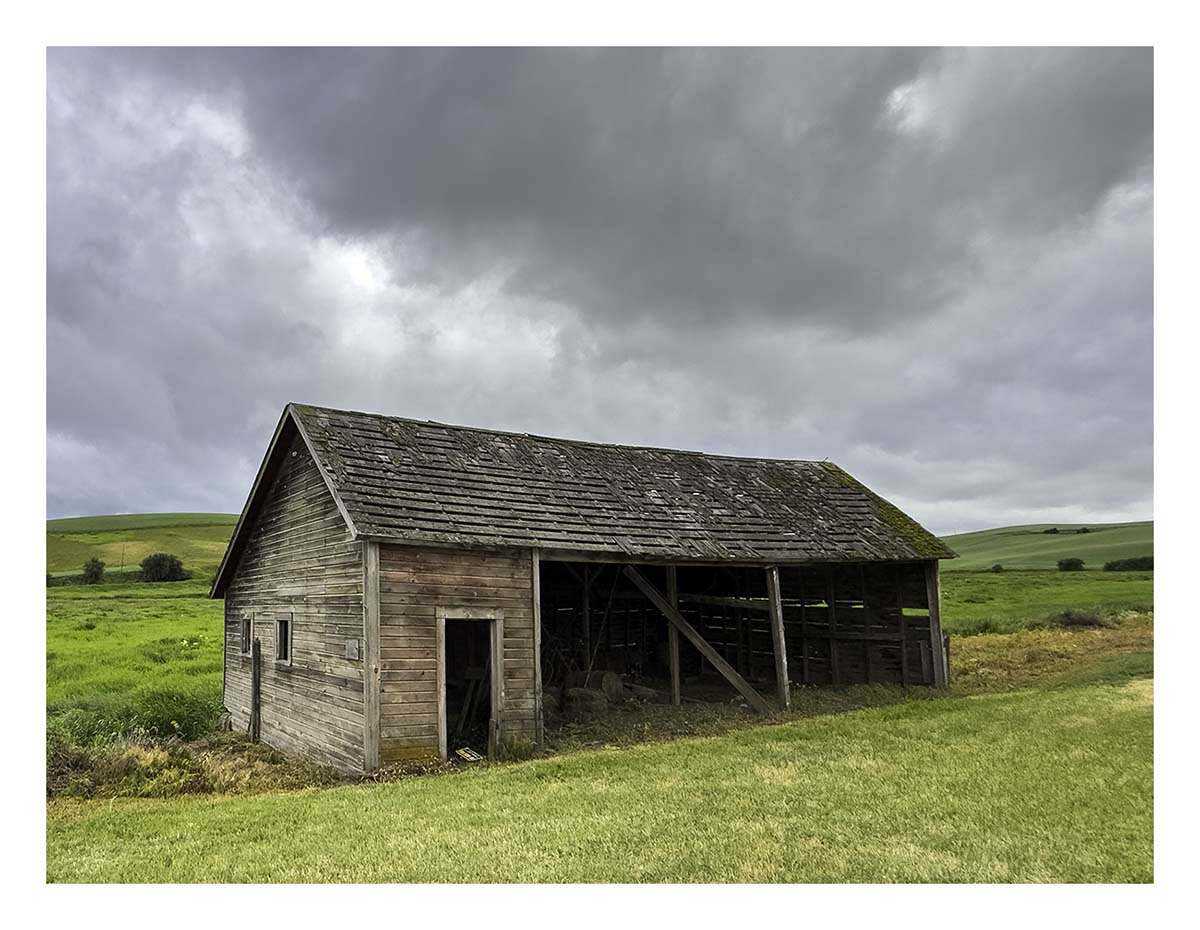 BCJ Spring in the Palouse