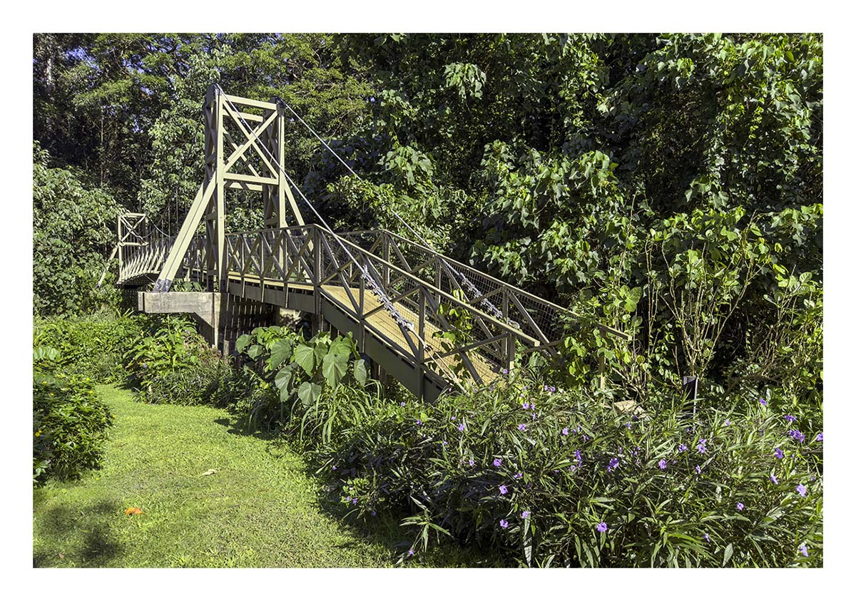 Kauai Museum