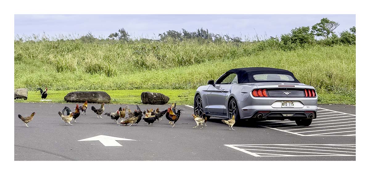 Kauai, Hawaii