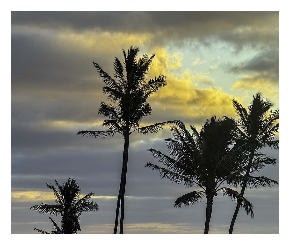 Kauai Museum