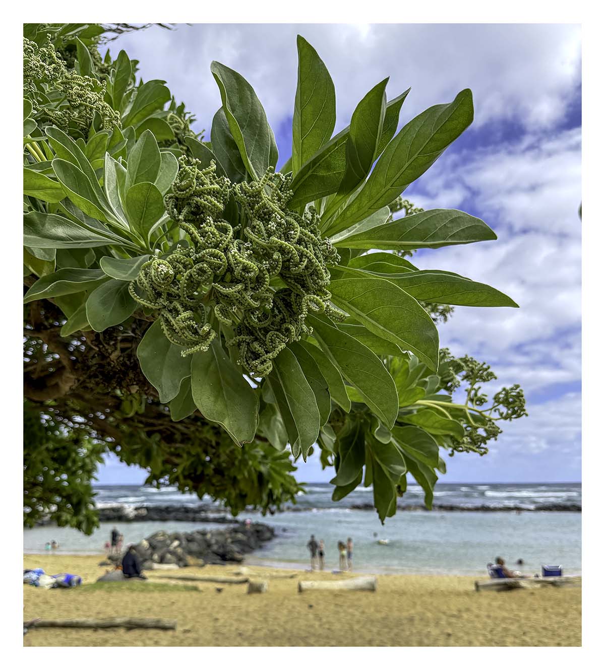 Kauai, Hawaii