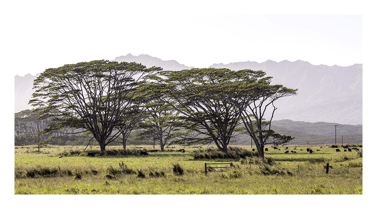 Kauai, Hawaii