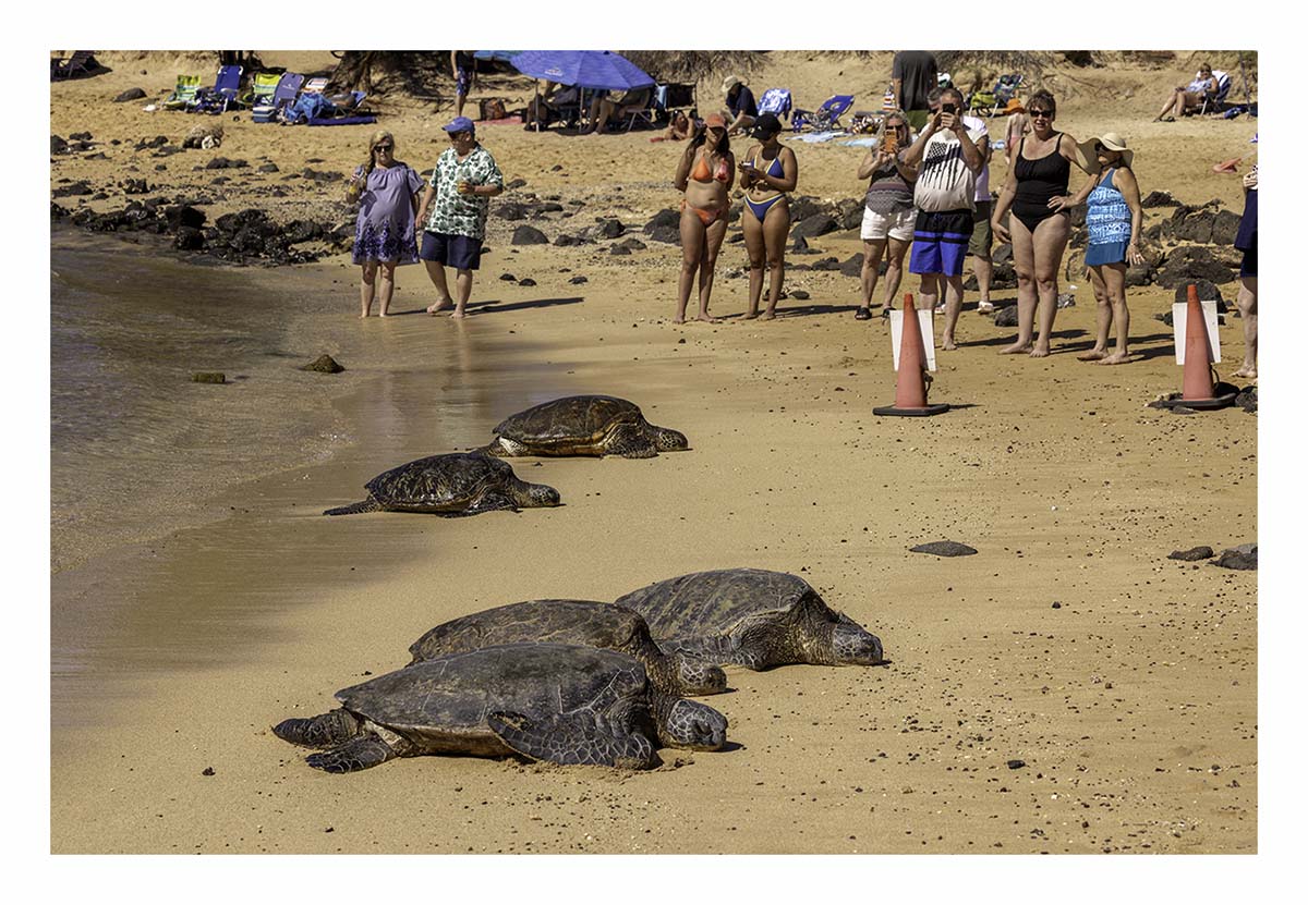 Kauai, Hawaii