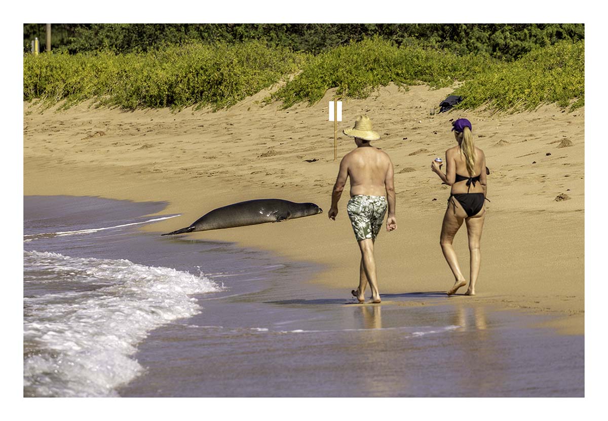 Kauai, Hawaii