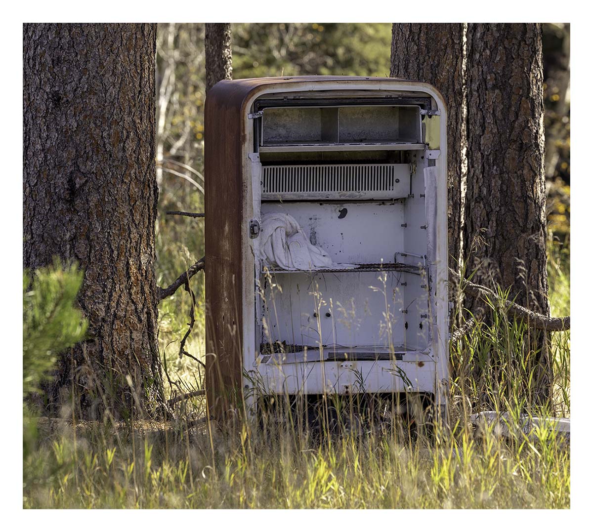 South Dakota