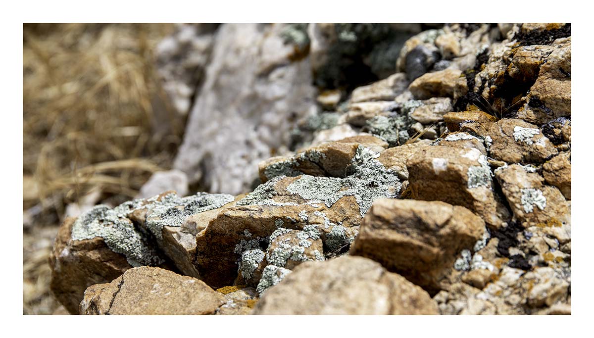 Antelope Island SP