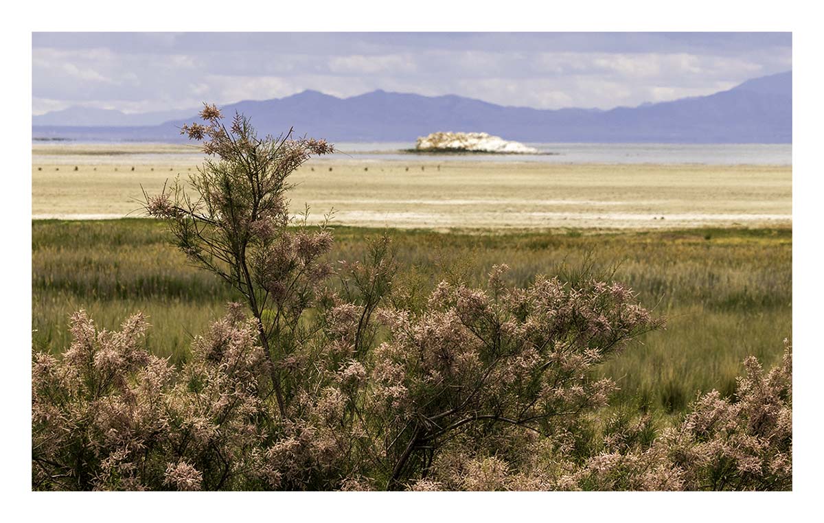 Antelope Island SP