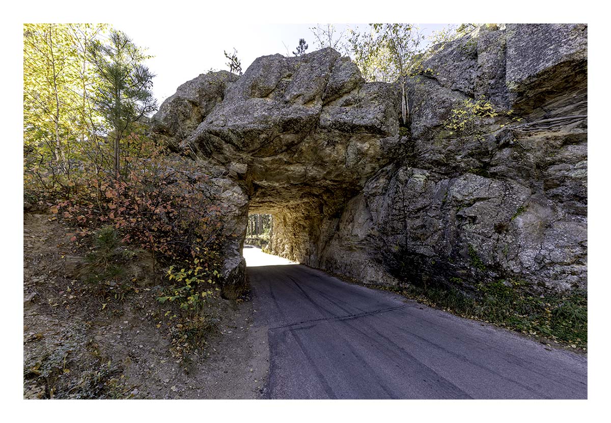 Custer State Park
