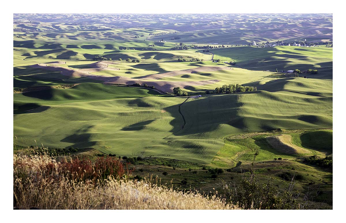 BCJ Spring in the Palouse