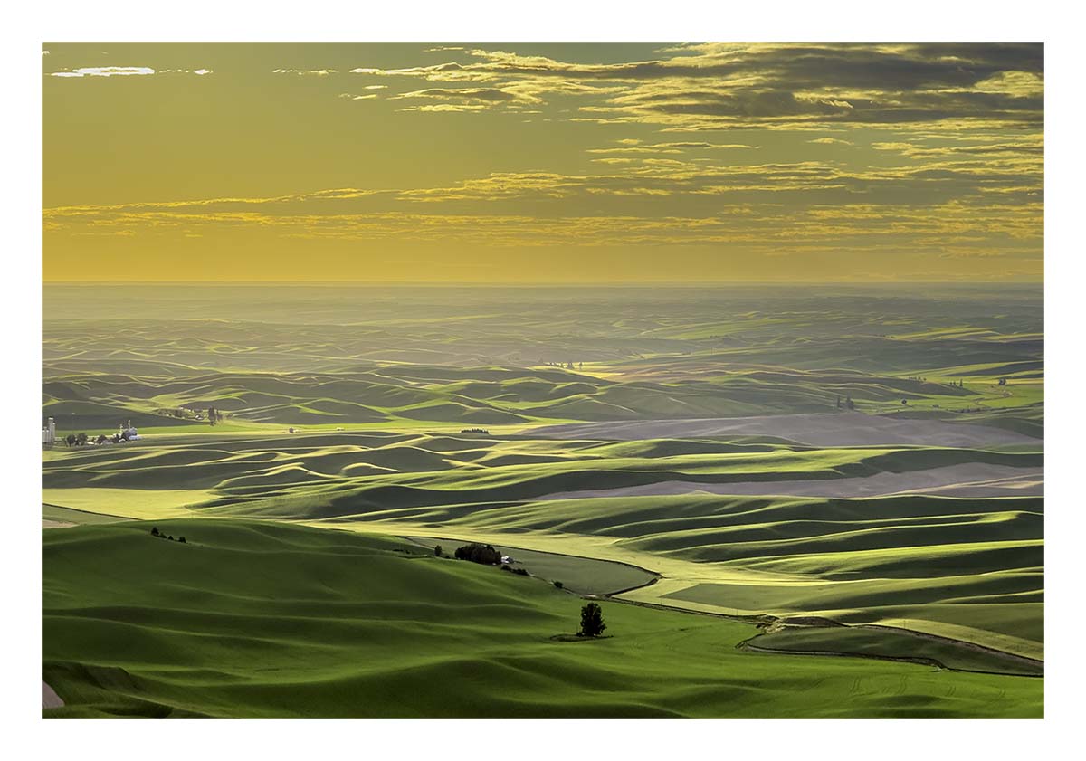 BCJ Spring in the Palouse