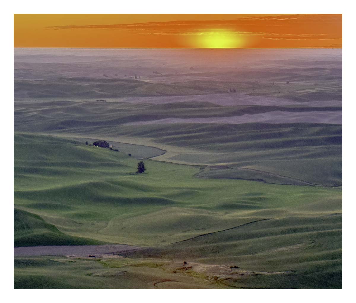 BCJ Spring in the Palouse