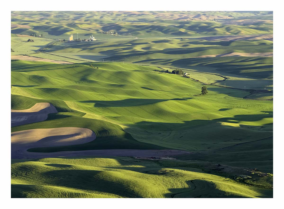 BCJ Spring in the Palouse