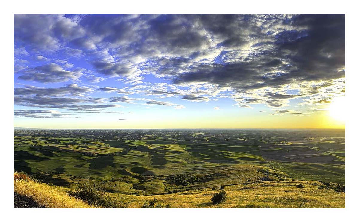 BCJ Spring in the Palouse