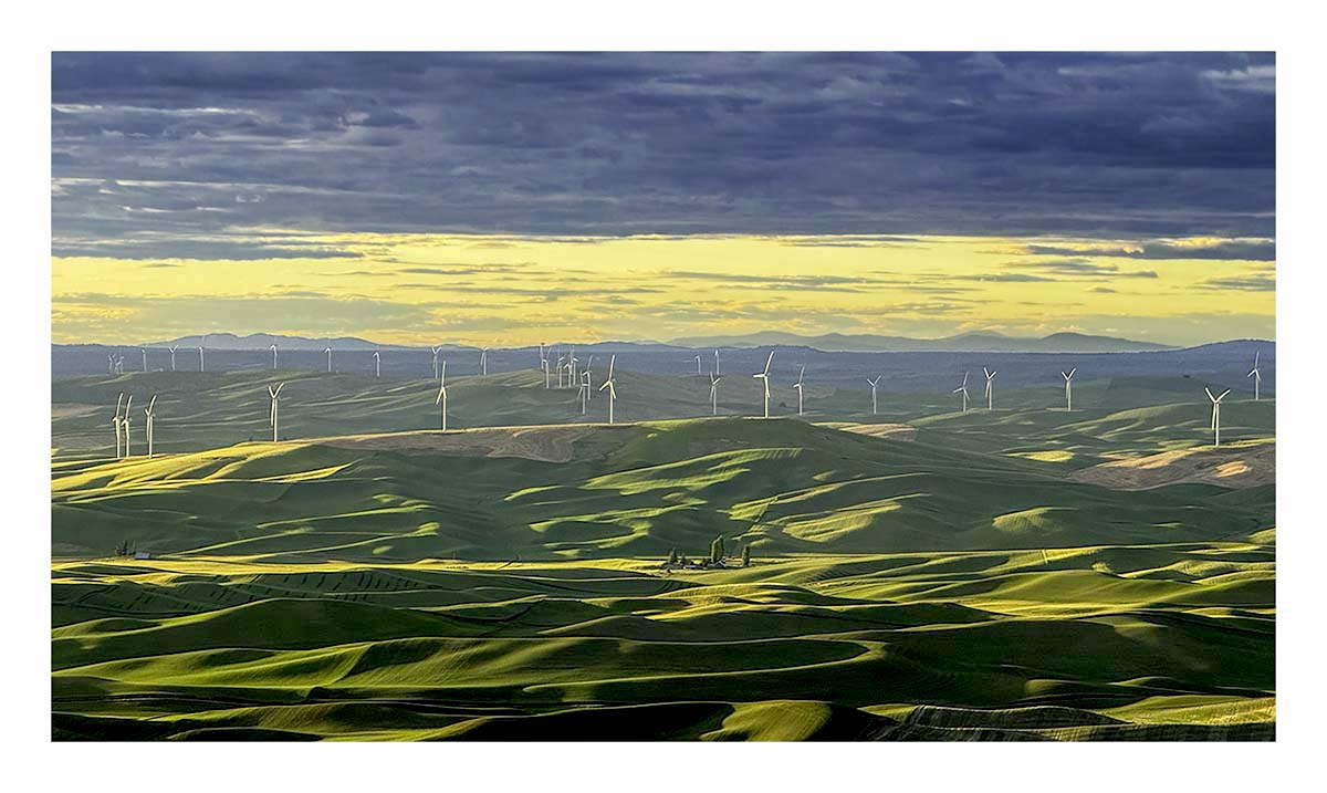 BCJ Spring in the Palouse