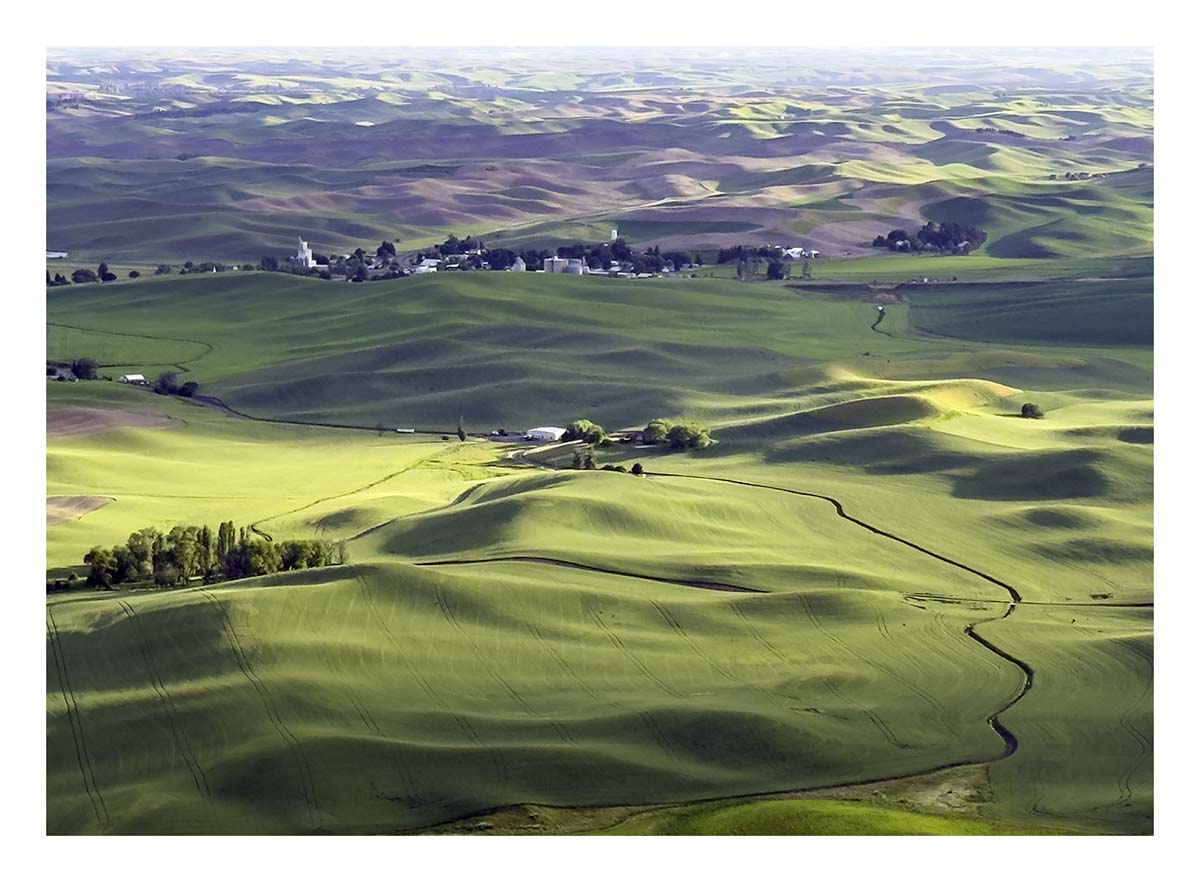 BCJ Spring in the Palouse