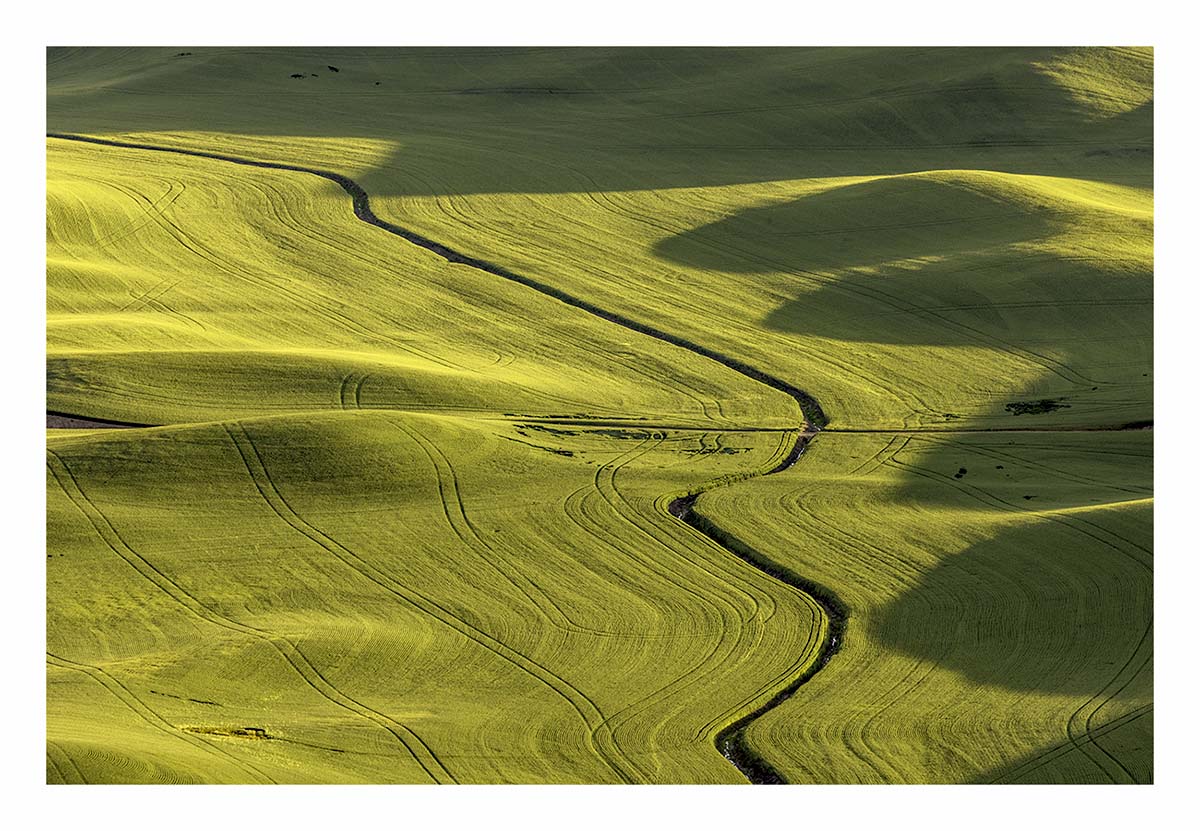 BCJ Spring in the Palouse