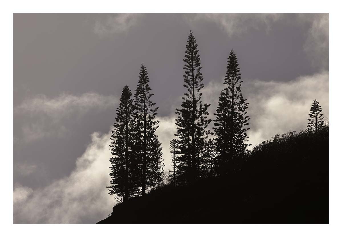 Kauai, Hawaii